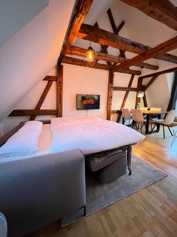 Ludwigshome Zentralste Lage, Klima, Smarttv, Terrasse Ludwigsburg Exteriér fotografie