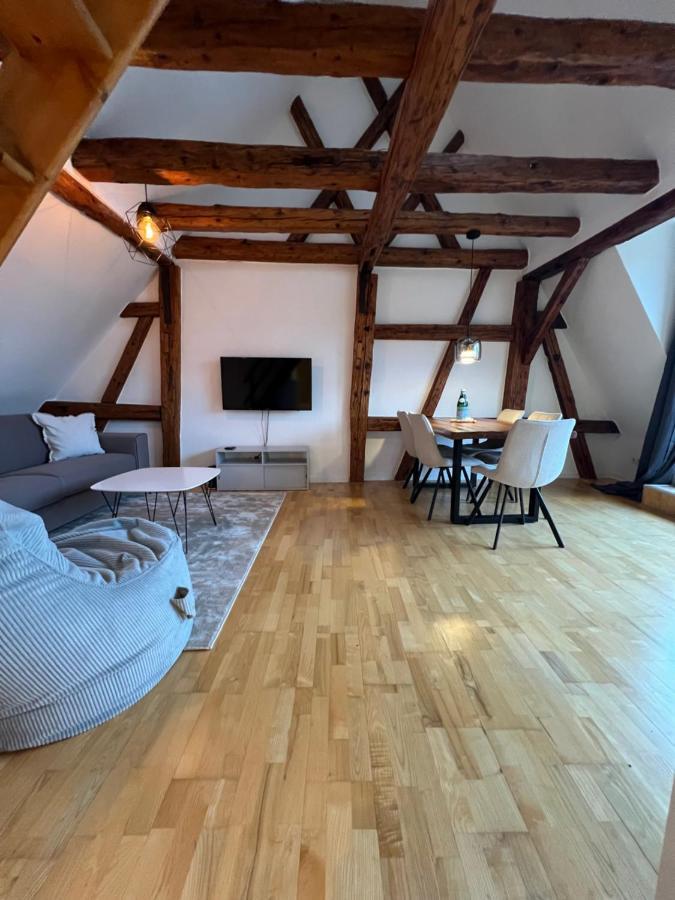 Ludwigshome Zentralste Lage, Klima, Smarttv, Terrasse Ludwigsburg Exteriér fotografie