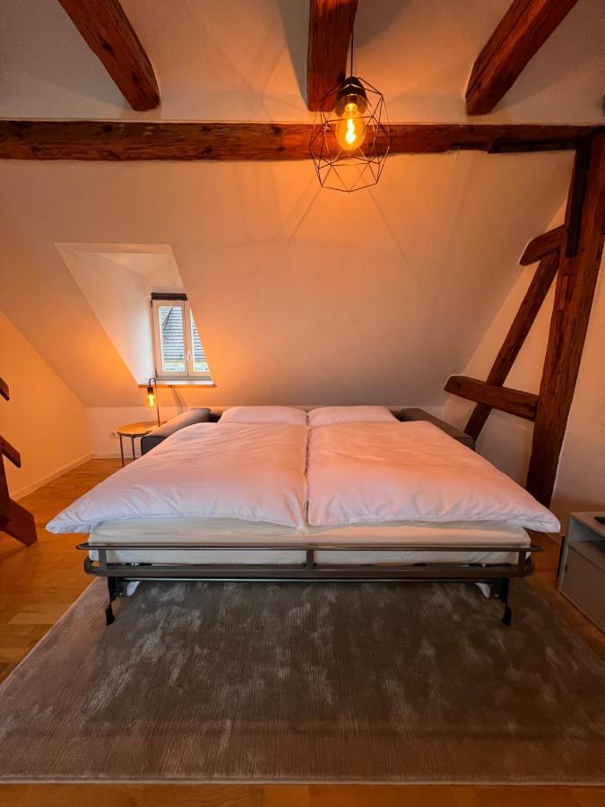 Ludwigshome Zentralste Lage, Klima, Smarttv, Terrasse Ludwigsburg Exteriér fotografie